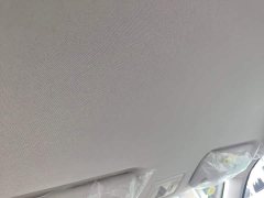 Changan Lumin Treasure Edition 205km Cool Love White CATL - ფოტო 18