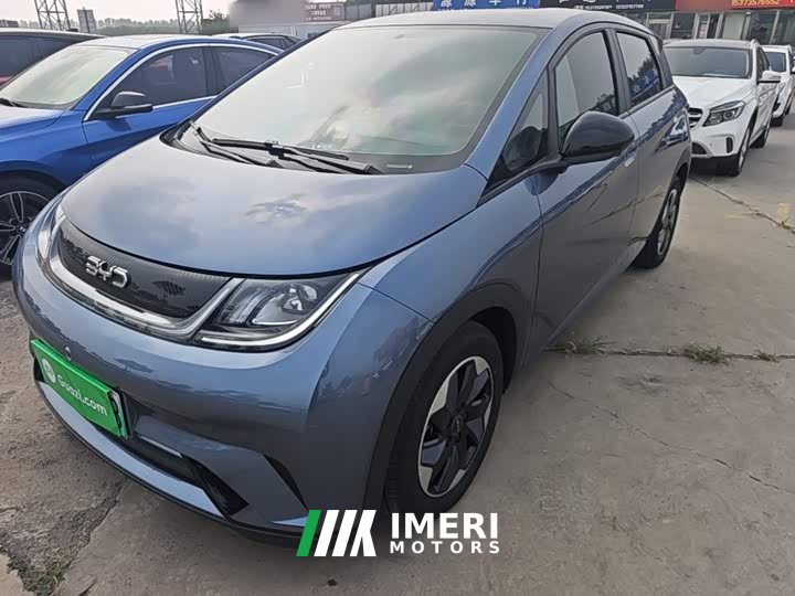 BYD Dolphin 420km Freedom Edition - ავტომობილი ჩინეთიდან