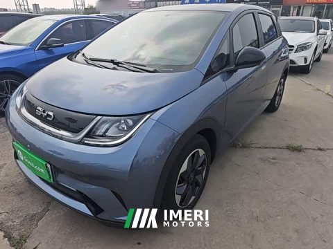2025 BYD Dolphin 420km Freedom Edition - ავტომობილი ჩინეთიდან