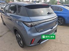 BYD Dolphin 420km Freedom Edition - ფოტო 5