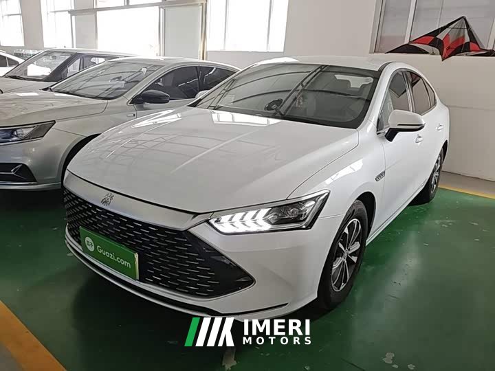 BYD Qin PLUS Glory Edition DM-i 55KM Leading