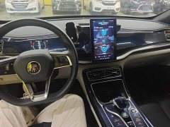 BYD Qin Plus DM-i 55KM Flagship - ფოტო 10
