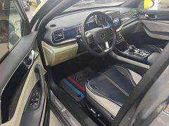 BYD Qin Plus DM-i 55KM Flagship - ფოტო 15