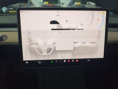 Tesla Model 3 Rear-Wheel Drive - ფოტო 13