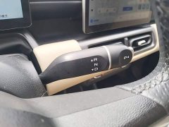 Wuling Binguo PLUS 510km Flagship Four-Seater - ფოტო 14