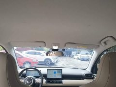 Wuling Binguo PLUS 510km Flagship Four-Seater - ფოტო 18
