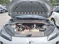 Wuling Binguo PLUS 510km Flagship Four-Seater - ფოტო 20