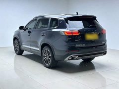 Chery Tiggo 8 PLUS Champion Edition 290TGDI DCT Luxury Comfort 5-Seater - ფოტო 5