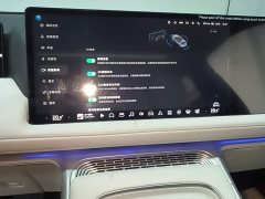 Xpeng G9 2022 702 Max - ფოტო 13