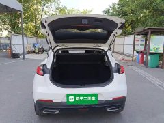 Geely Emgrand S 2021 1.4T CVT Luxury - ფოტო 19