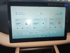 BYD Yuan UP 2025 301KM Pilot Edition - ფოტო 13