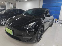 Tesla Model Y Long Range All-Wheel Drive - ფოტო 1