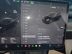 Tesla Model Y Long Range All-Wheel Drive - ფოტო 12