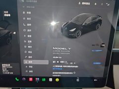 Tesla Model Y Long Range All-Wheel Drive - ფოტო 13