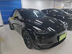 Tesla Model Y Long Range All-Wheel Drive - ფოტო 4