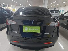 Tesla Model Y Long Range All-Wheel Drive - ფოტო 6
