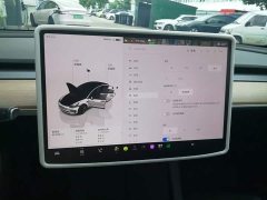 Tesla Model 3 2022 Rear-Wheel Drive - ფოტო 12