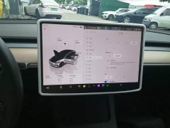Tesla Model 3 2022 Rear-Wheel Drive - ფოტო 13