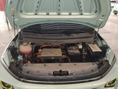Geely Geometry E Firefly 2022 401KM Linglong Tiger 4-Seater - ფოტო 20