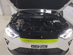 Haval H6S 2.0T AWD Trendsetter Edition - ფოტო 20