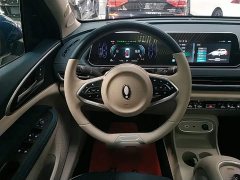 ORA Good Cat 501km Luxury - ფოტო 11