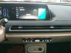 ORA Good Cat 501km Luxury - ფოტო 13