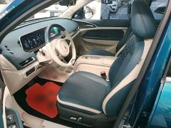 ORA Good Cat 501km Luxury - ფოტო 15