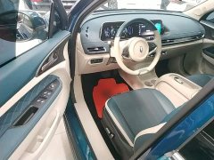 ORA Good Cat 501km Luxury - ფოტო 16