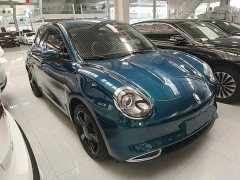 ORA Good Cat 501km Luxury - ფოტო 4