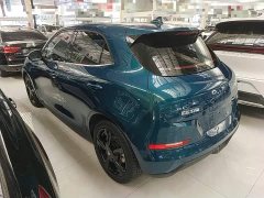 ORA Good Cat 501km Luxury - ფოტო 5