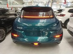 ORA Good Cat 501km Luxury - ფოტო 6