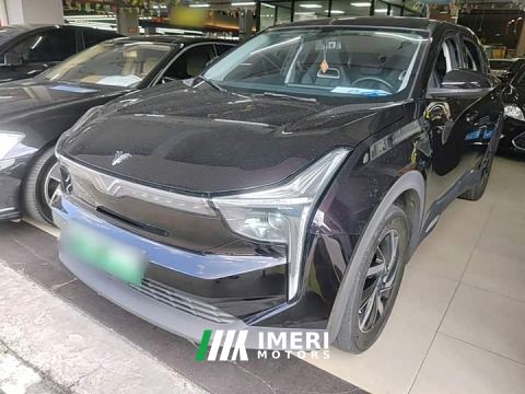 2021 Neta U Pro 400 Cruise Edition
