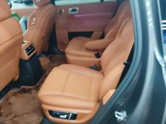 Li Auto L9 2022 Max - ფოტო 17