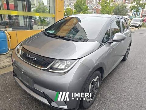 2022 BYD Dolphin 405km Fashion Edition