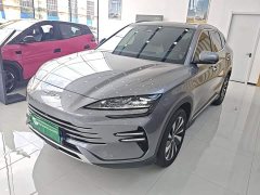 BYD Song Plus New Energy 2023 Champion Edition DM-i 150KM Flagship Plus - ფოტო 2