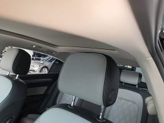 Volkswagen Magotan 2 Million Units Commemorative Edition 330TSI DSG Leading Version - ფოტო 18