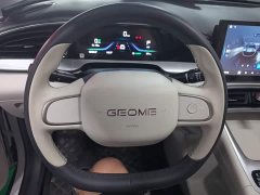 Geely Star Wish 2026 310km Youth Edition - ფოტო 11