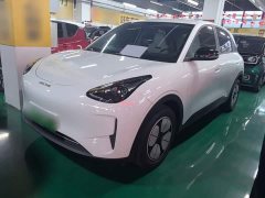 Geely Star Wish 2026 310km Youth Edition - ფოტო 2