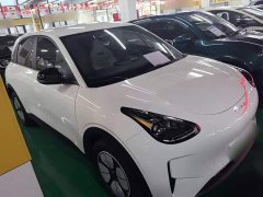 Geely Star Wish 2026 310km Youth Edition - ფოტო 4