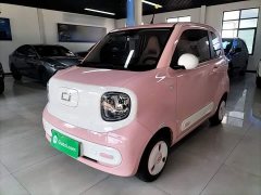 FAW Besturn Xiaoma 170km Vitality Edition - ფოტო 1