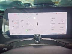 XPeng P7 P7i 610 Max Performance Edition - ფოტო 12