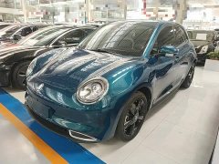 ORA Good Cat 2024 401km Deluxe 126kW - ფოტო 1