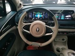 ORA Good Cat 2024 401km Deluxe 126kW - ფოტო 11