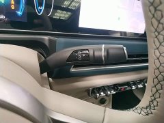 ORA Good Cat 2024 401km Deluxe 126kW - ფოტო 14