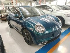 ORA Good Cat 2024 401km Deluxe 126kW - ფოტო 4