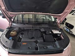 Geely ICON 1.5TD Chocolate Elegant Edition - ფოტო 20