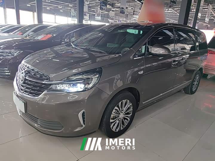 Buick GL8 Land Executive Cabin 652T Luxury
