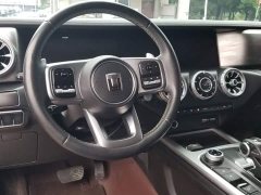 Tank 300 Off-Road Edition 2.0T Conqueror - ფოტო 10