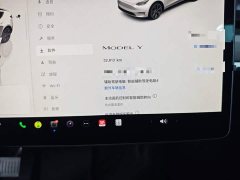 Tesla Model Y Rear-Wheel Drive - ფოტო 12