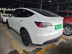 Tesla Model Y Rear-Wheel Drive - ფოტო 5
